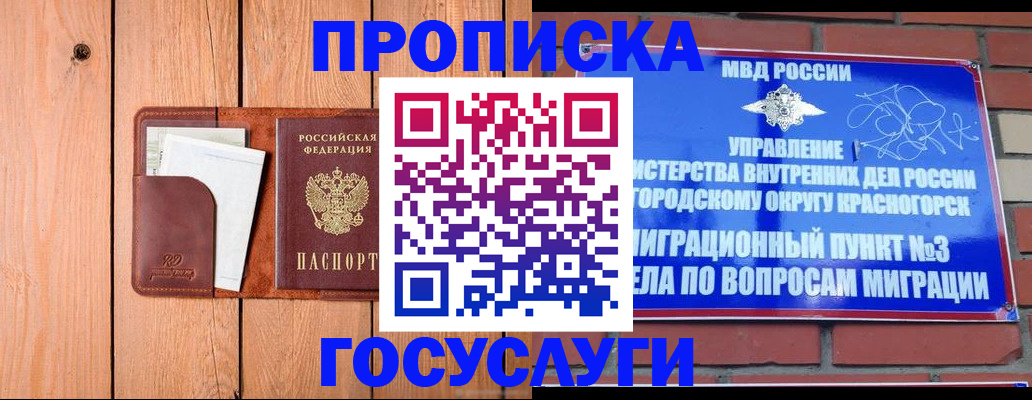 регистрация в Мончегорске
